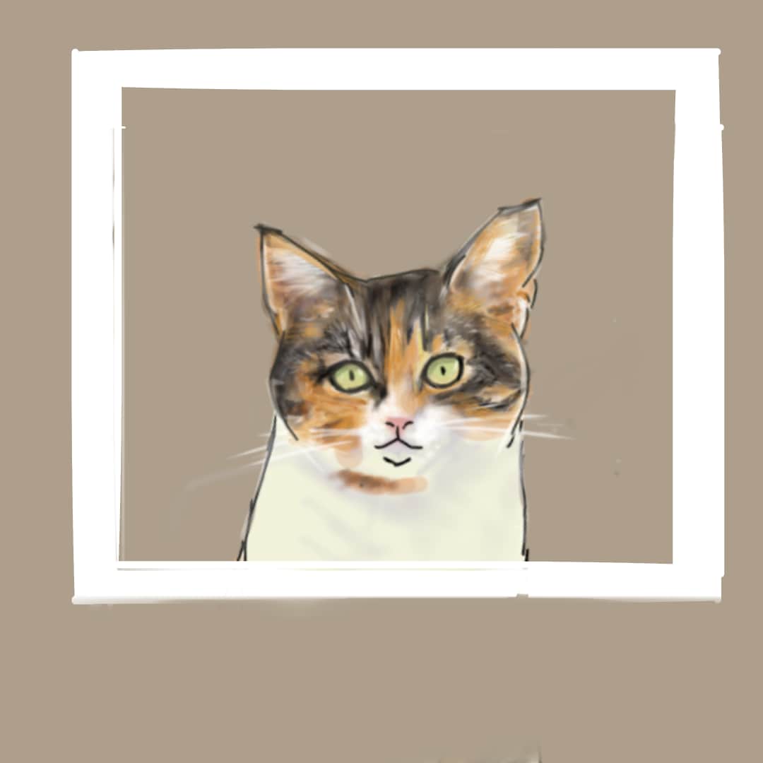 ご自宅で一緒に住んでるネコのイラストを制作します ご自宅ネコちゃんイラスト（お試し版：肩より上・顔アップ） イメージ2