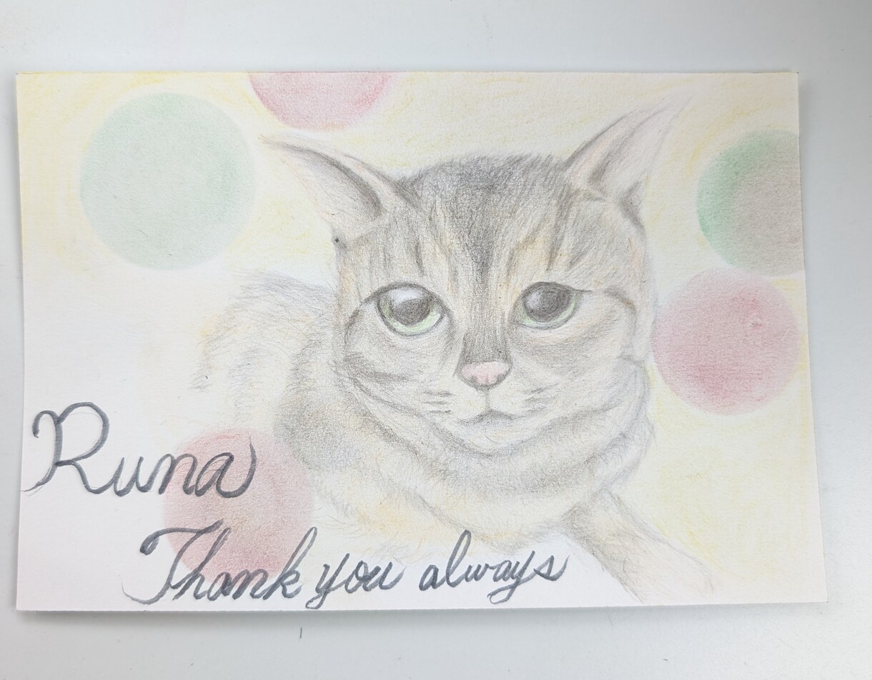 追加料金無し✨似顔絵オーダーお名前のポエム描きます 人物の似顔絵やペットの似顔絵を描きます。 イメージ3