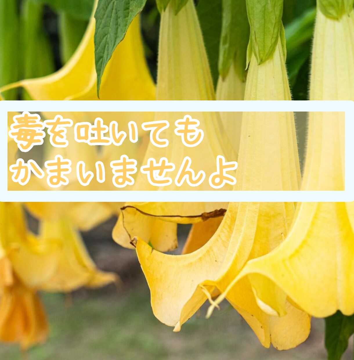 どんなお話でも、丁寧に聞きます カウンセリング技術を活かして、丁寧にじっくりお話を聞きます。 イメージ8