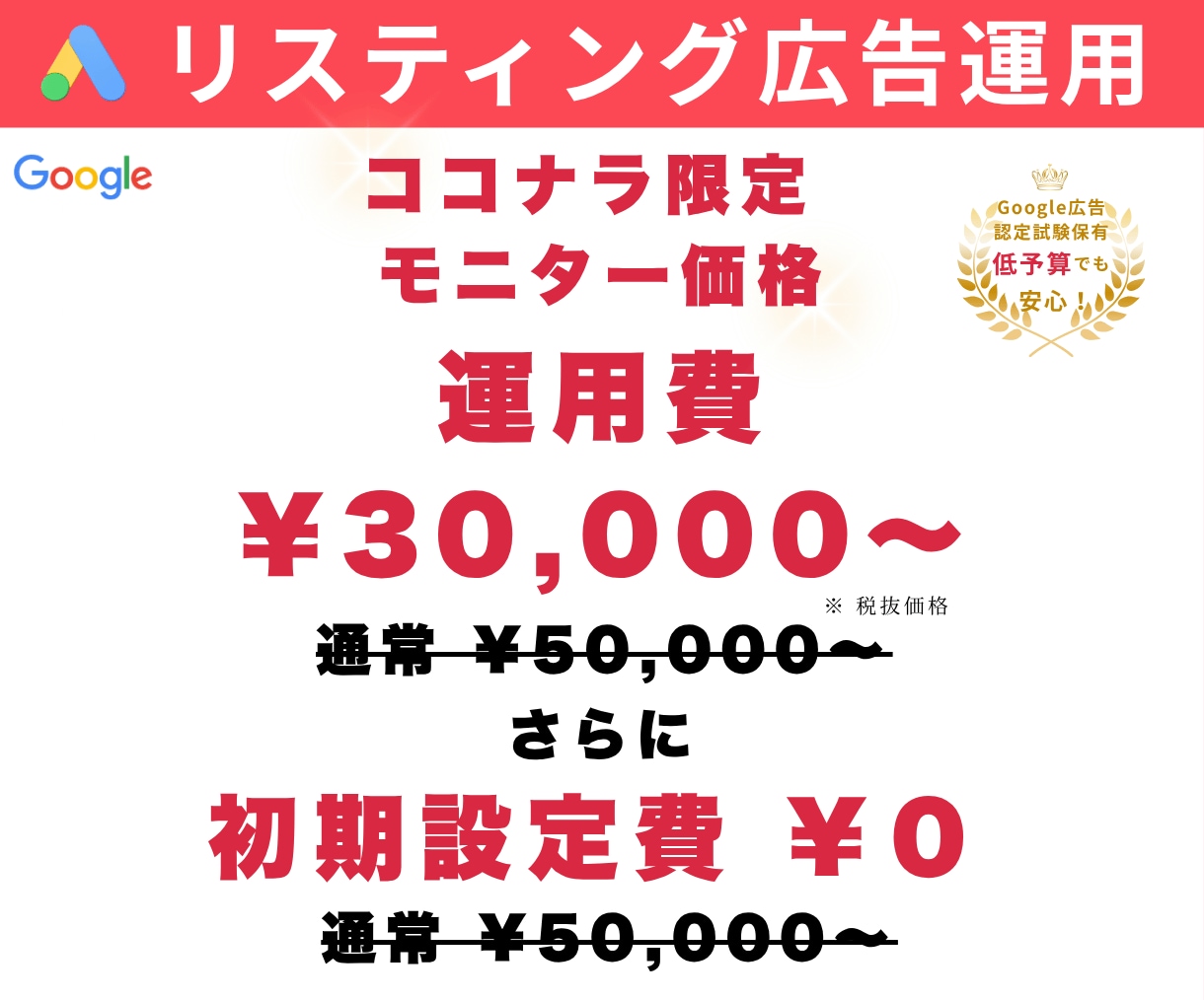 低予算から安心して始められる広告運用を支援します 明確な分析と改善で低コストでも成果を追求する広告運用 イメージ1