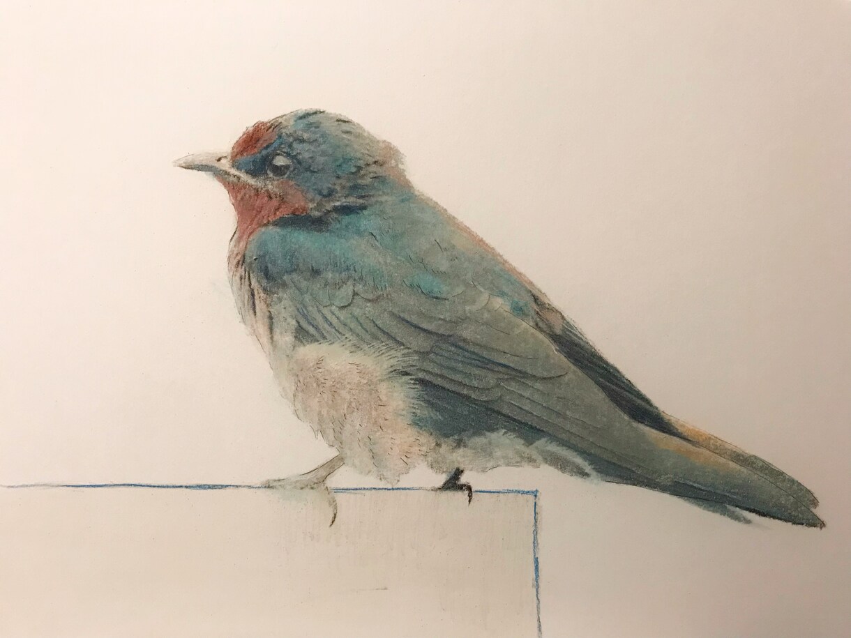 動物や人物、風景などのパステル画で描きます 写真を元に自分なりの色合いで、写実的にパステルで描きます！ イメージ2