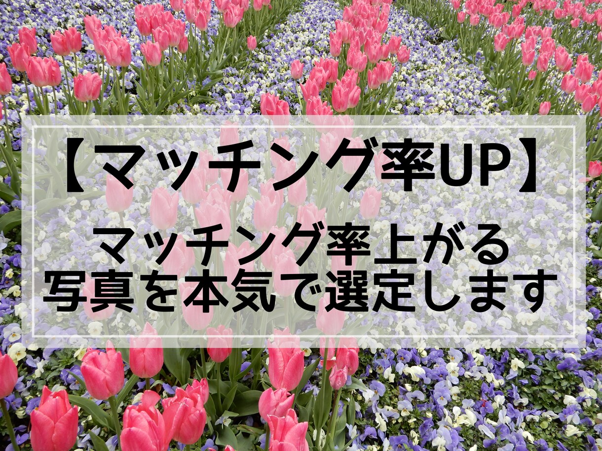 マッチング率上がる写真を選定します モブ集団なんかに埋もれない!パッと一瞬で目を引く写真選び イメージ1