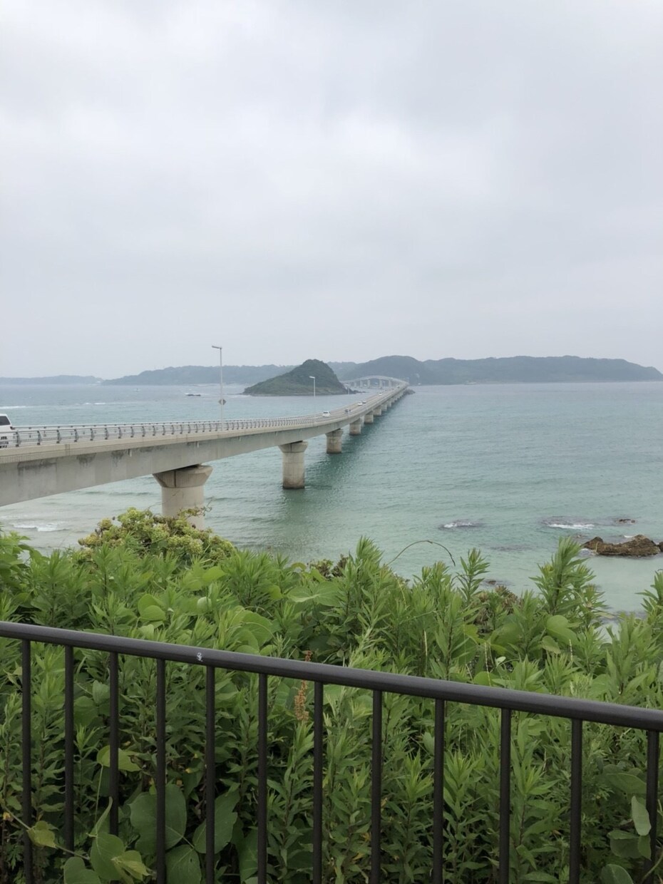 不安に気持ちを楽にさせます 安心の鑑定結果！信頼性の高い占い結果を提供しています。 イメージ2