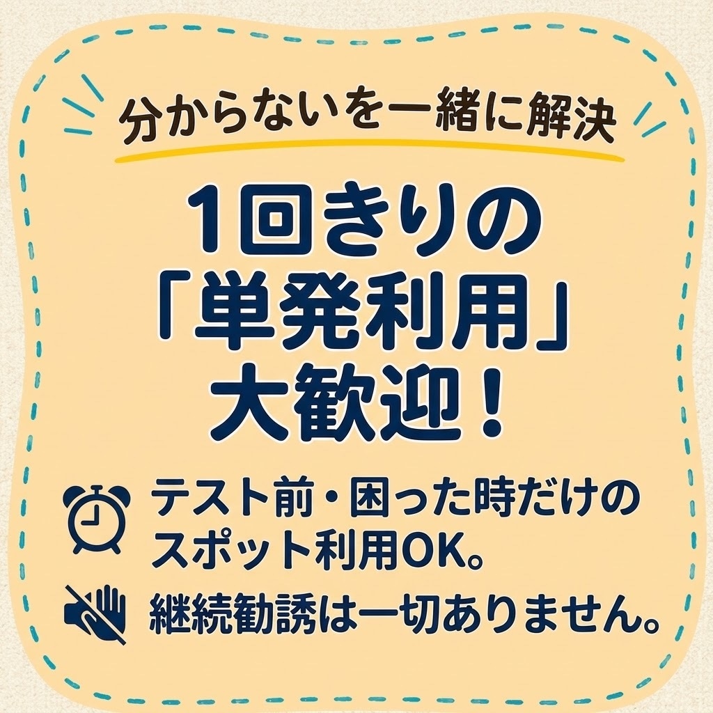 1問からOK!指導歴14年の現役プロ講師が教えます 京都大学・大学院修了｜中高生対象・単発・複数科目OK イメージ4