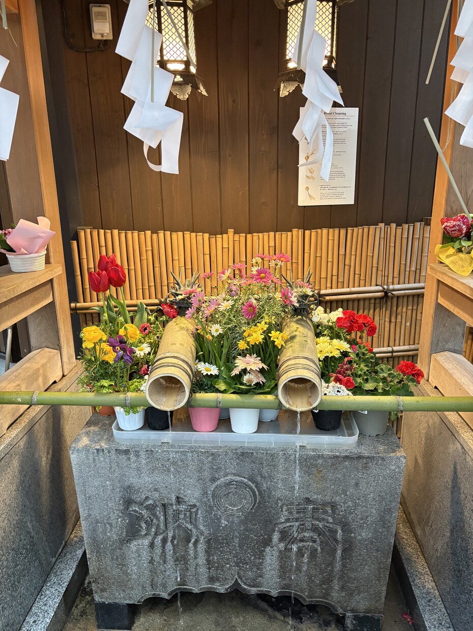 小網神社へ代理参拝します 3日以内に参拝をし現地体験をお届けします！ イメージ6