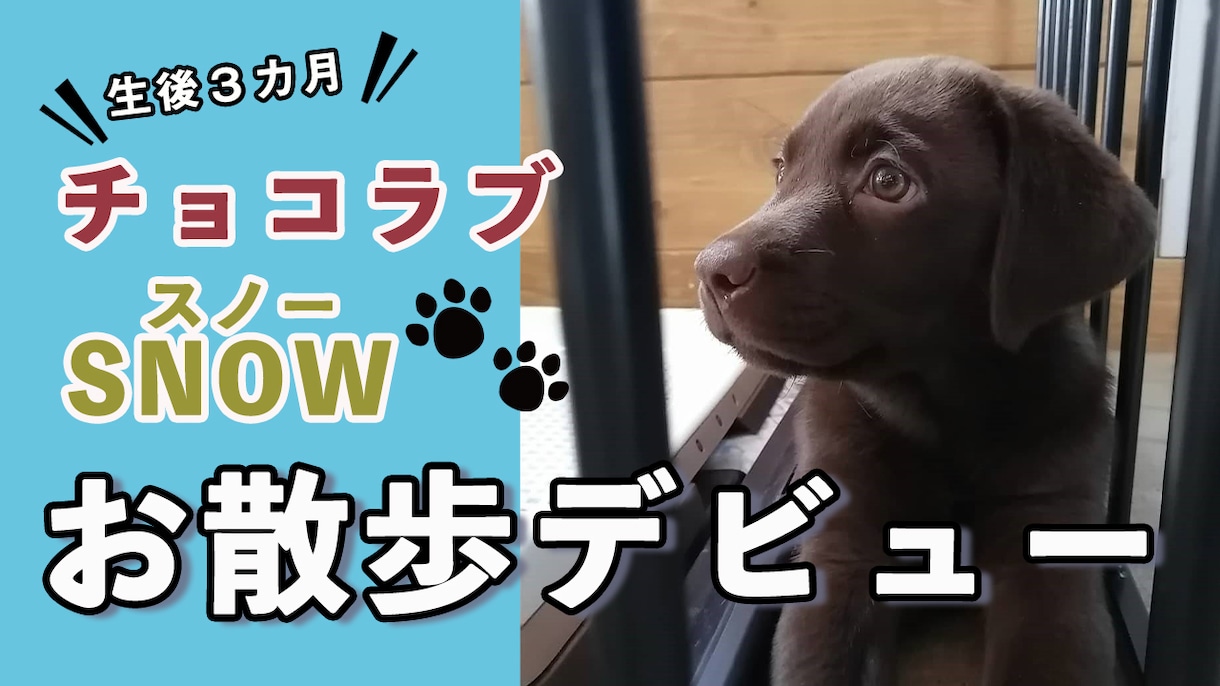 1枚3000円！YouTubeサムネイル作ります 面倒なサムネイルは任せて動画編集の時間に回してください♪ イメージ5