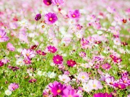 外出の少ない高齢者様 ！とことんお話し聴きます 現役介護士、私が優しく親身に寄り添います イメージ9