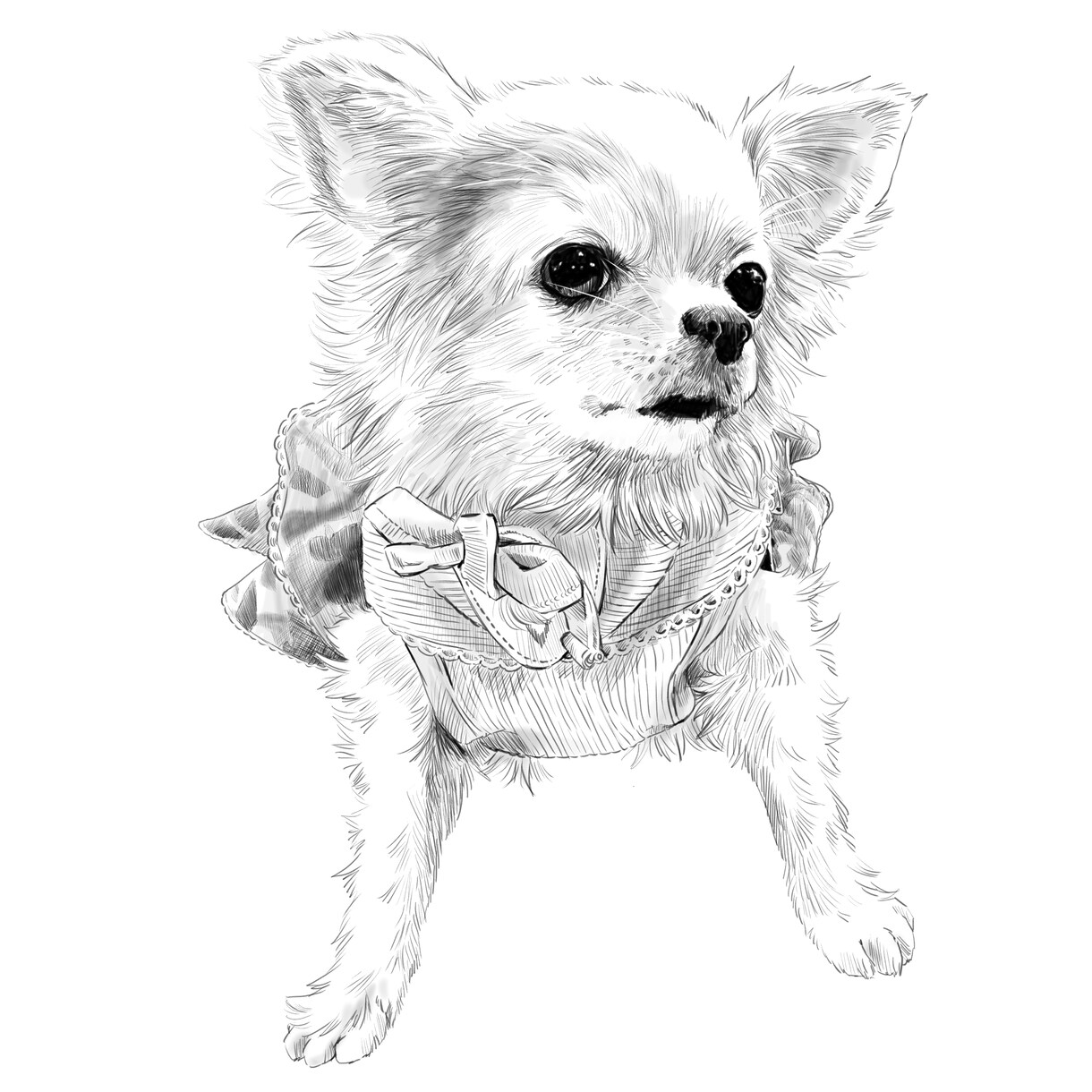 どんな動物のペットのスケッチを描きます 犬・猫から小動物・爬虫類まで！ イメージ3