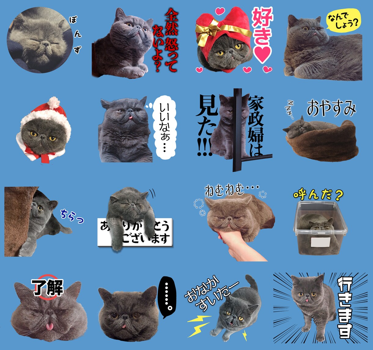 お子さん、ペットの写真等でLINEスタンプ作ります 月齢祝いや記念日にも◎非公開にすれば家族だけで楽しめます★ イメージ2