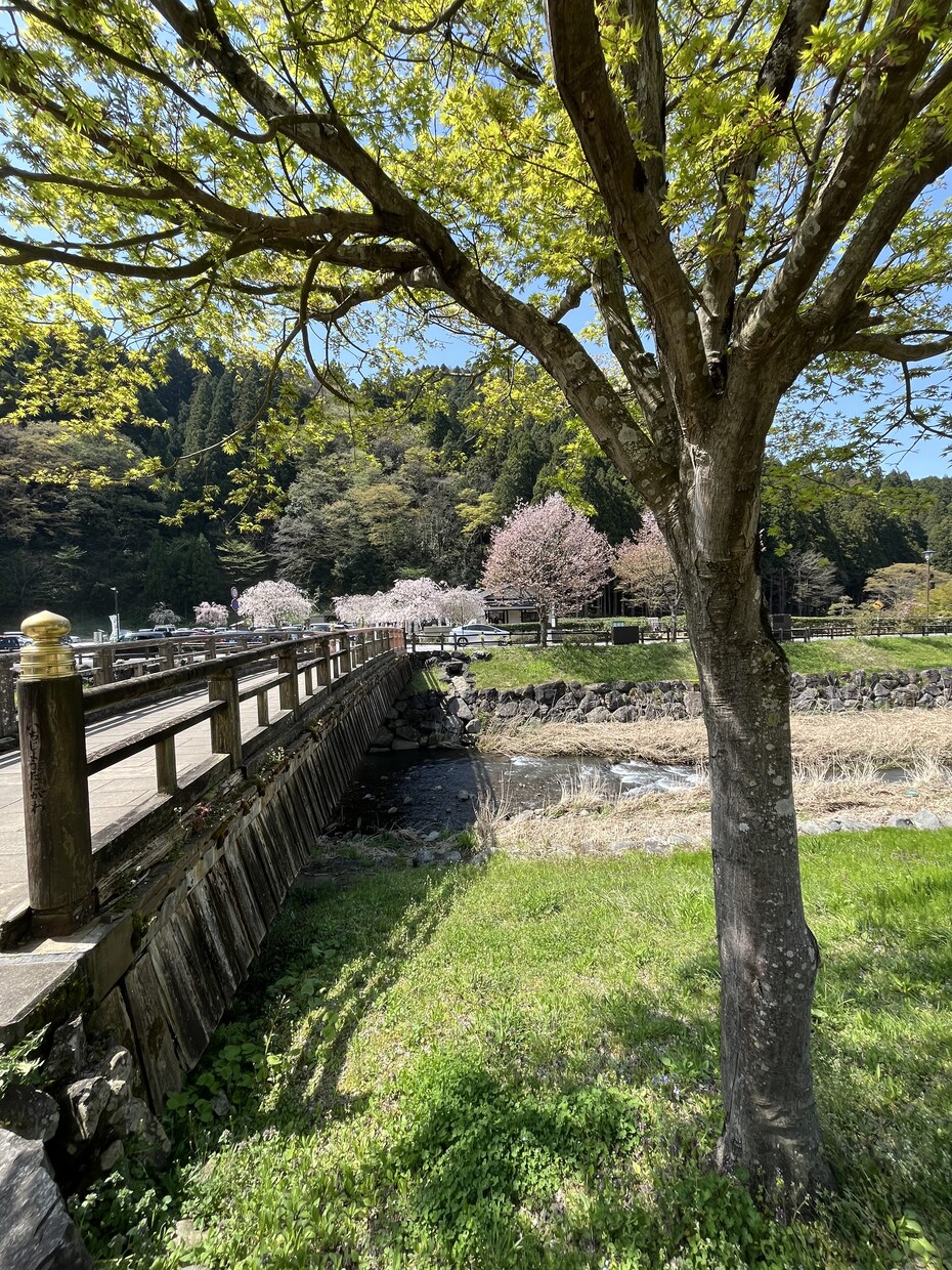 何気ない風景や素敵だなぁと思う写真を提供します 色々な風景写真はいかがですか？ イメージ4