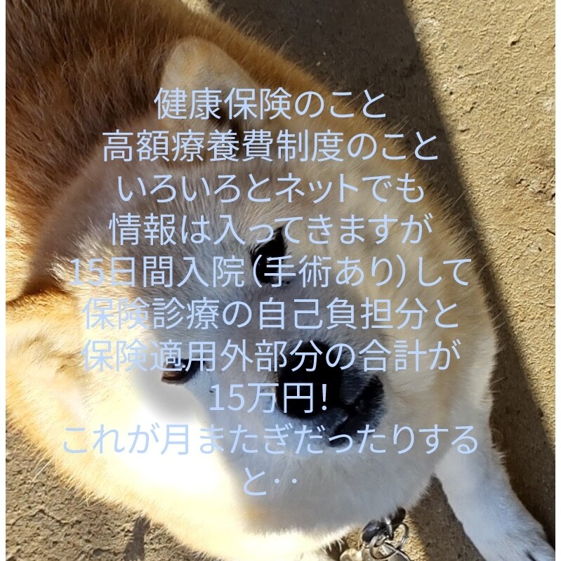 トークで加入内容の説明や疑問点などお答えします 何に備えてるのか忘れちゃったなどの振り返りのお手伝いします。 イメージ3