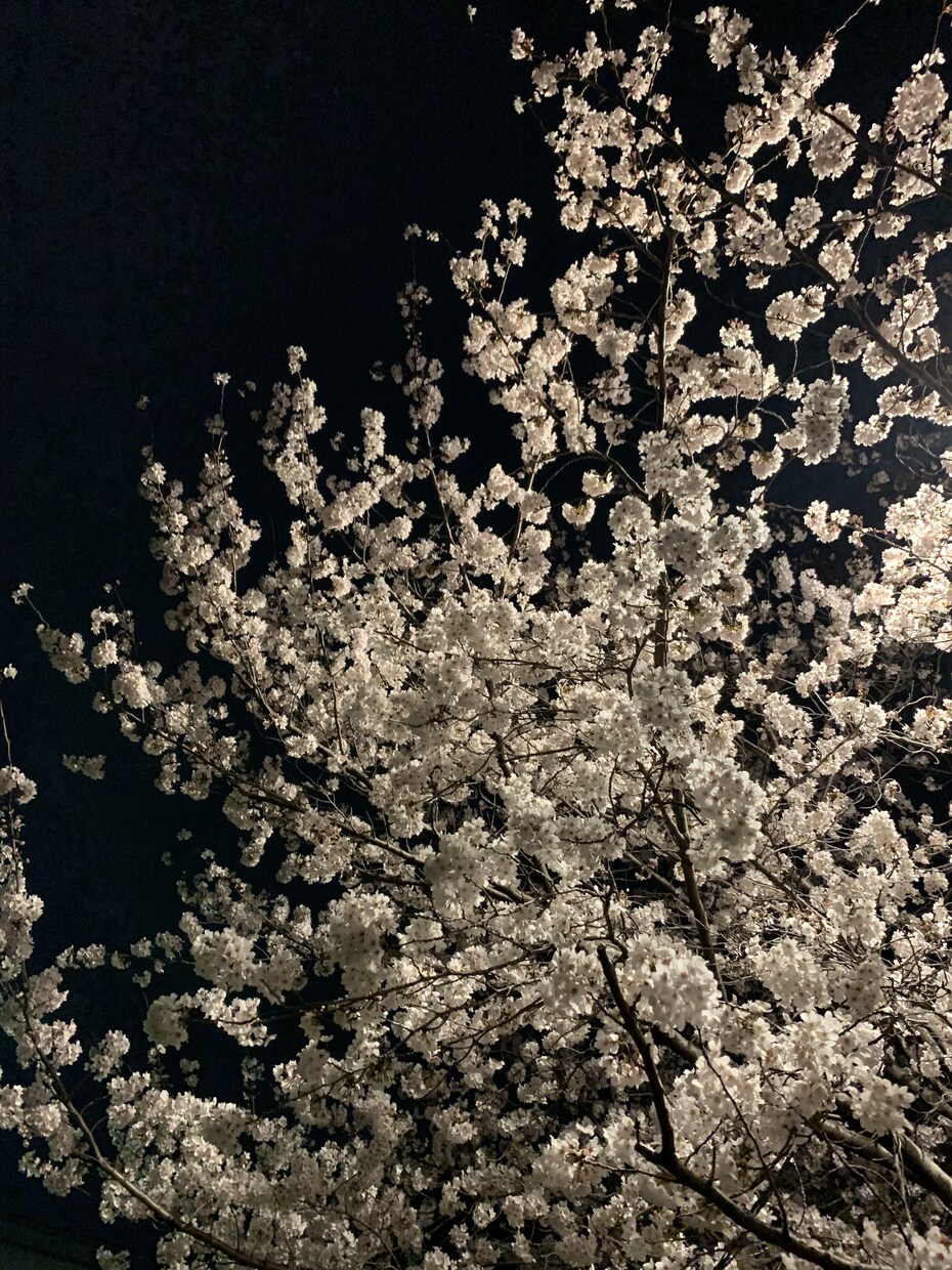 話を聞きます ゲイ相談室〜愚痴や悩みを話して楽になりましょう！ イメージ1