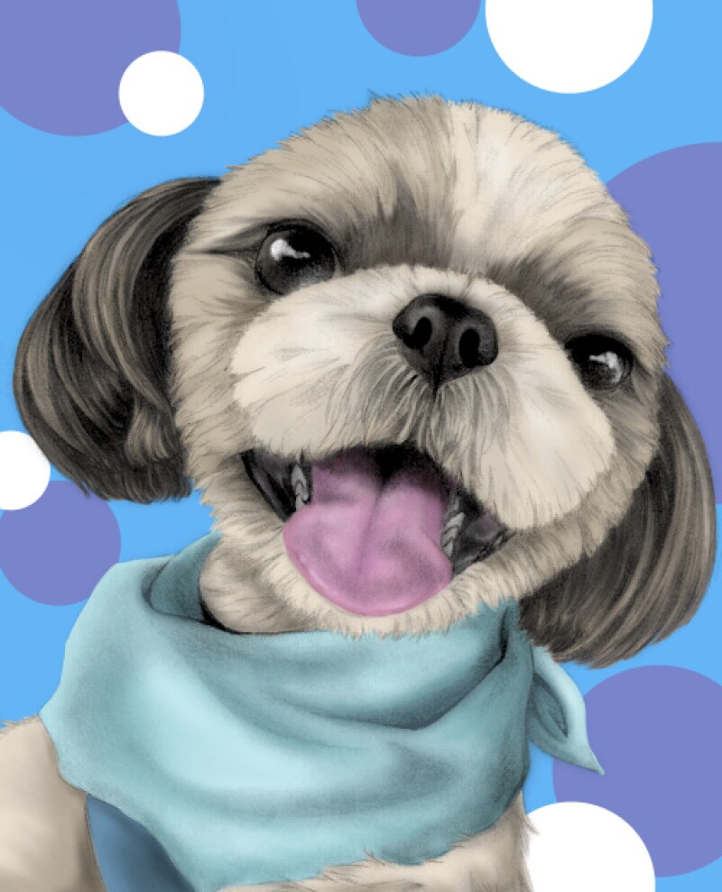 大事な「うちの子」のポップアートお描きします 鉛筆画に色を入れてポップなアートに！ イメージ1