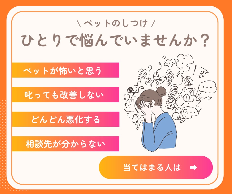 行動療法獣医師が犬の問題行動のご相談にのります しつけで解決できないと感じた飼い主様へ★質問は何度でも◎ イメージ2