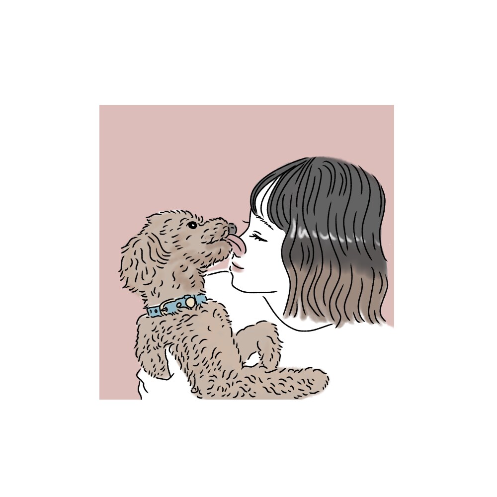 シンプルでかわいい動物イラストお描きします -SNSアイコン、待ち受け、プレゼント、商用ok イメージ3