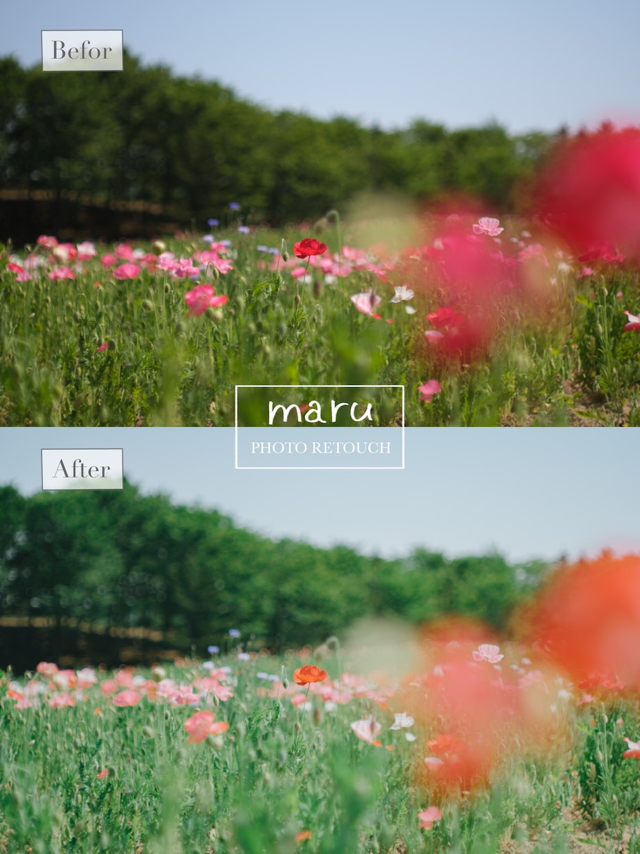 写真を柔らかく透明感のある雰囲気にレタッチします 空気感が伝わるような、思い出の一枚へ イメージ3