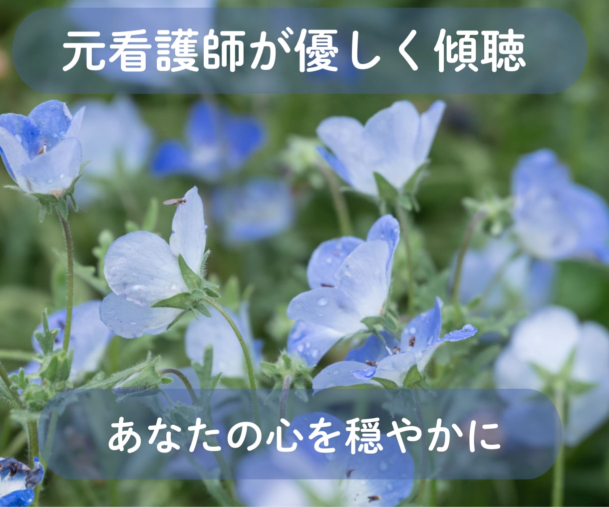 あなたの心の波を穏やかにします そっと寄り添い優しく包み込みます イメージ1