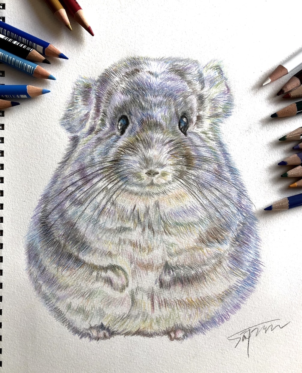 可愛い！思わず飾りたくなるペットイラスト描きます 世界にたった1枚の宝物を作りませんか？ イメージ3
