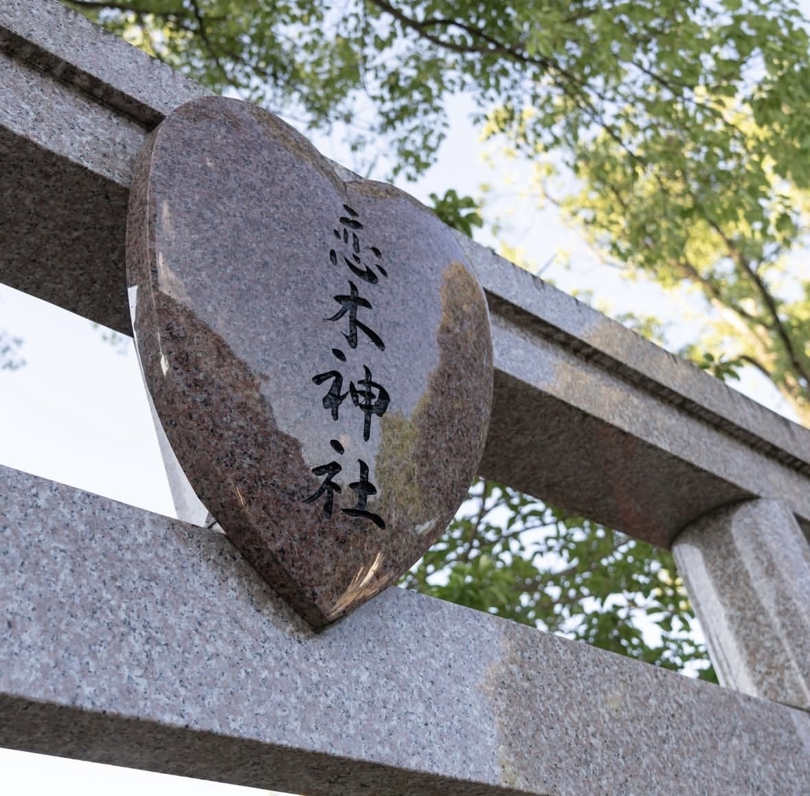 即日鑑定♦恋の行方・彼の本音を高精度霊視いたします 3000件超の対面実績。天照霊視で“今”と本音を丁寧にお伝え イメージ1