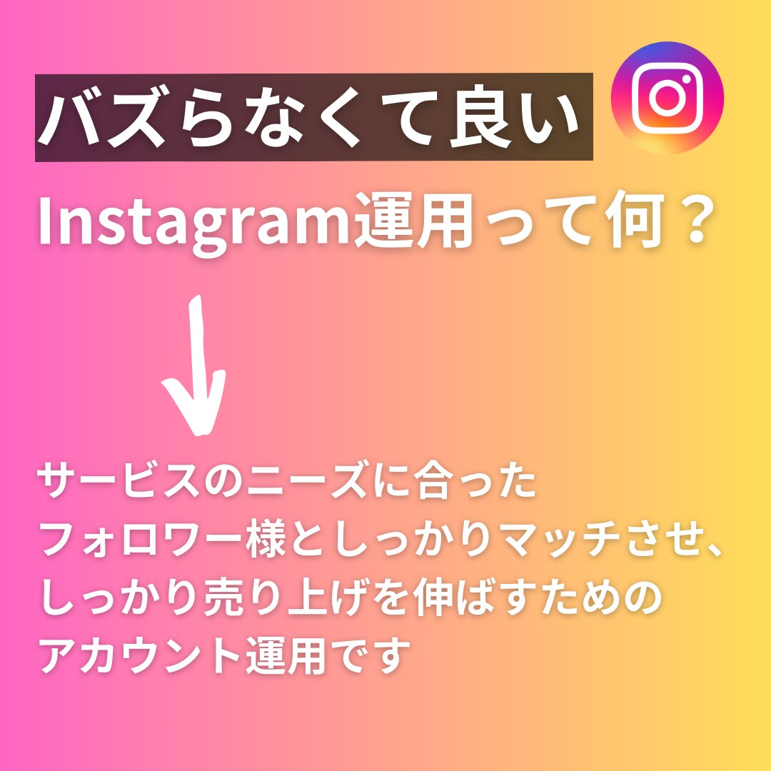 バズらないInstagram運用コンサルします バズらず成果！Instagram運用で売上と繋がりを実現 イメージ2