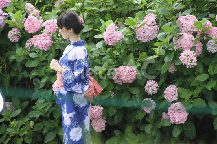 京都ガールが愚痴・お悩み・雑談なんでも聞きます お試し1分から！癒しのひとときをお届け♡ イメージ1