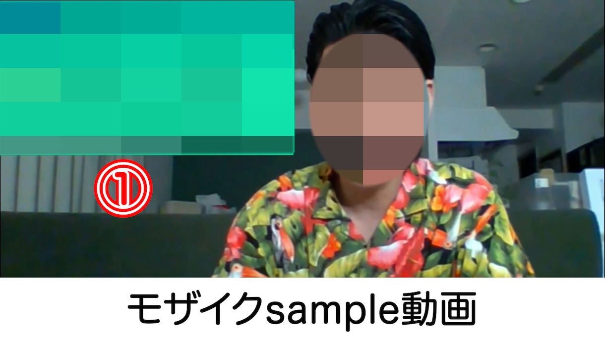 モザイク（顔・声・音）加工/ぼかし処理/承ります 当日納品も可能です！スピード納品が自慢！長い動画でも対応可能 イメージ1