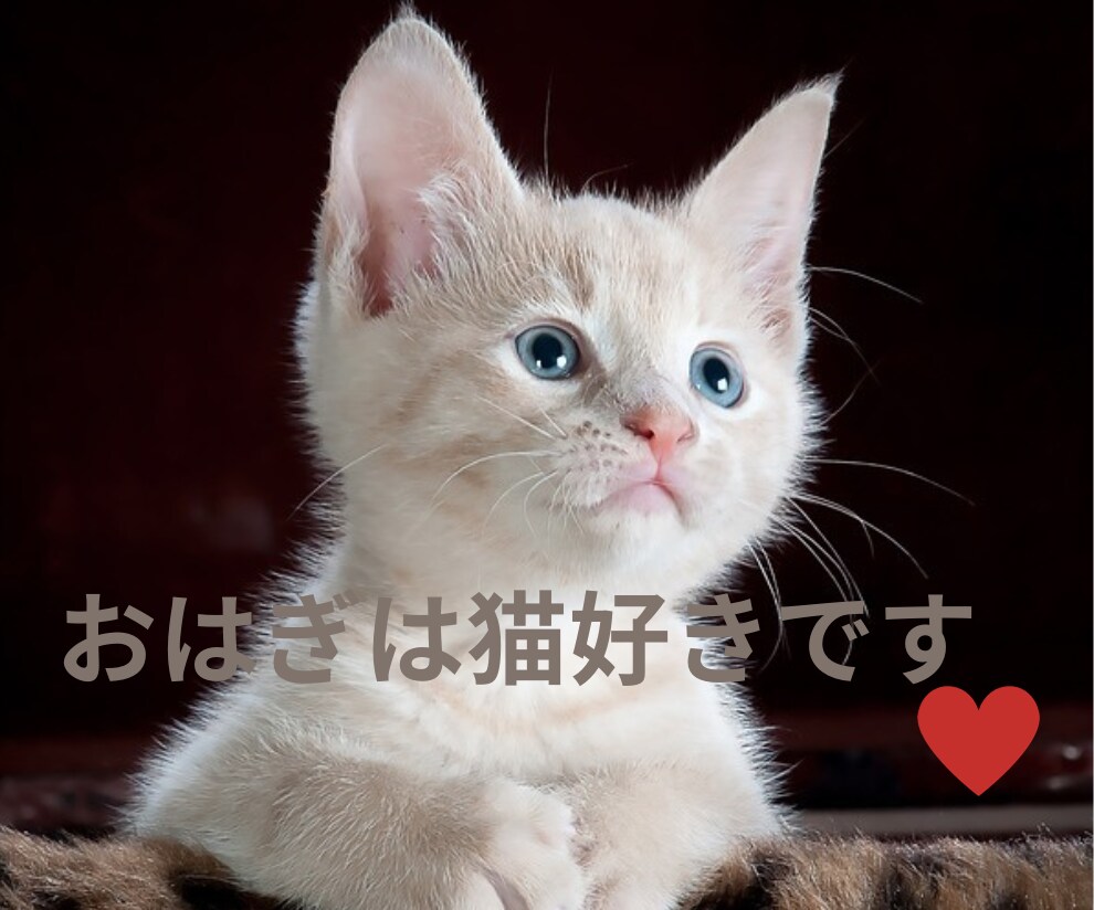 30分間やり放題♡モヤモヤ解消のお手伝いをします おはぎ♡とワンコインで気軽に楽しい時間を過ごしましょう♪ イメージ6