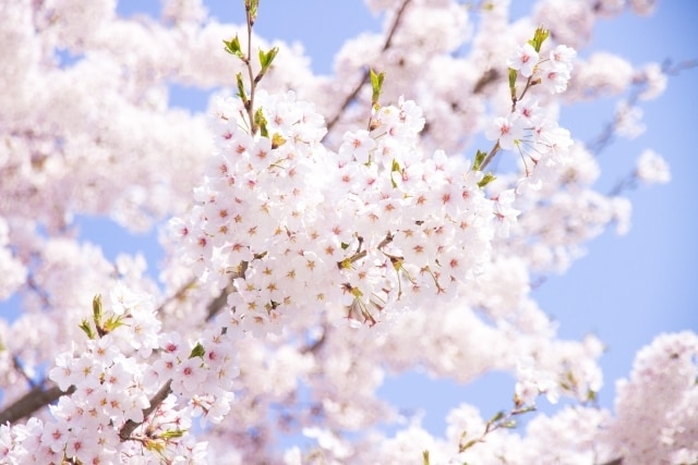 あなたの味方で❤️「夫婦の秘密の話」お聴きします ⭐些細なことから深刻な悩みまで、先ずはご相談ください❤️ イメージ6