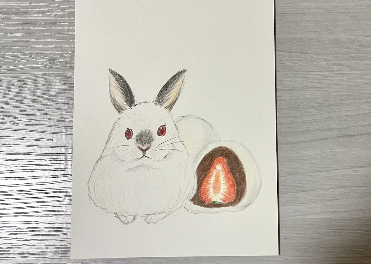 ペットのイラストを描きます あなたの大事なペットの写真を色鉛筆で描きます イメージ2