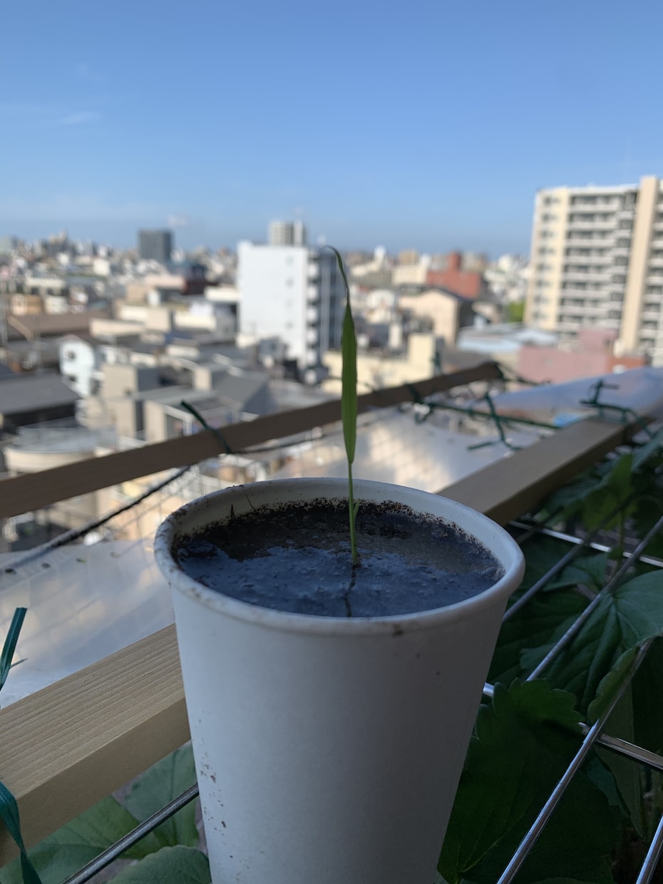 貴方の「喜・怒・哀・楽」何でも丁寧にお聞きします 。中学・高校での教員経験を活かして、優しく丁寧にご対応。 イメージ8