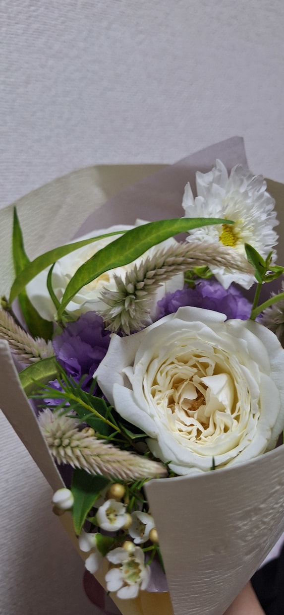 占星術及びタロットで恋愛/仕事/人間関係を占います 現状や相手の気持ちを的確に把握して善き方向への道案内 イメージ1