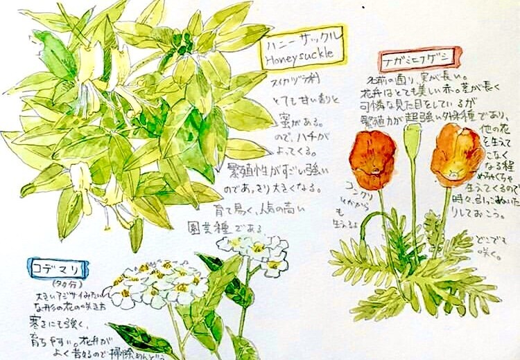 アナログイラスト描きます 簡単なペン画から、ちょっと細かい絵まで、何でも描きます イメージ5