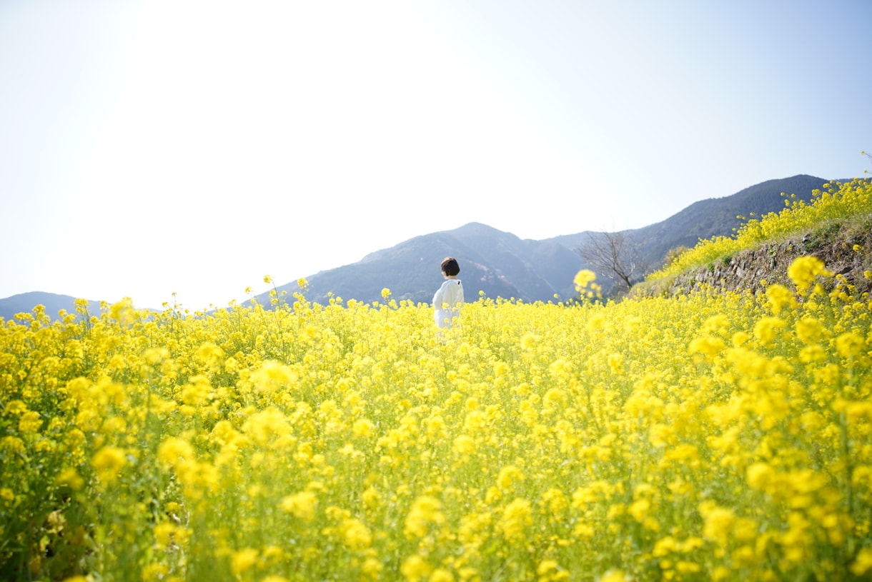 出張撮影します 関東どこでもフッ軽撮影行ってきます！ イメージ2