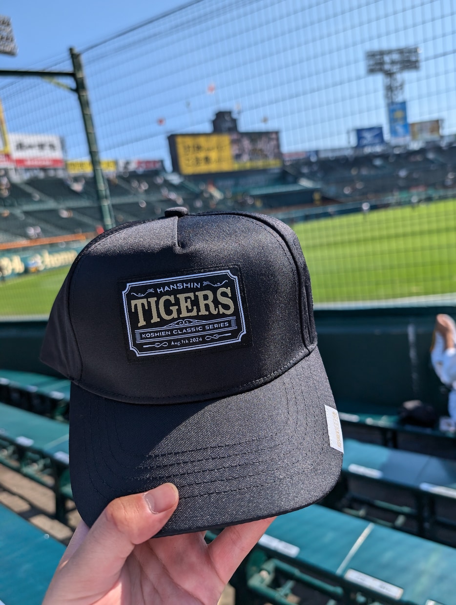 野球場で撮影した写真を販売します 趣味で撮った写真(甲子園やエスコンでの)を提供します イメージ3