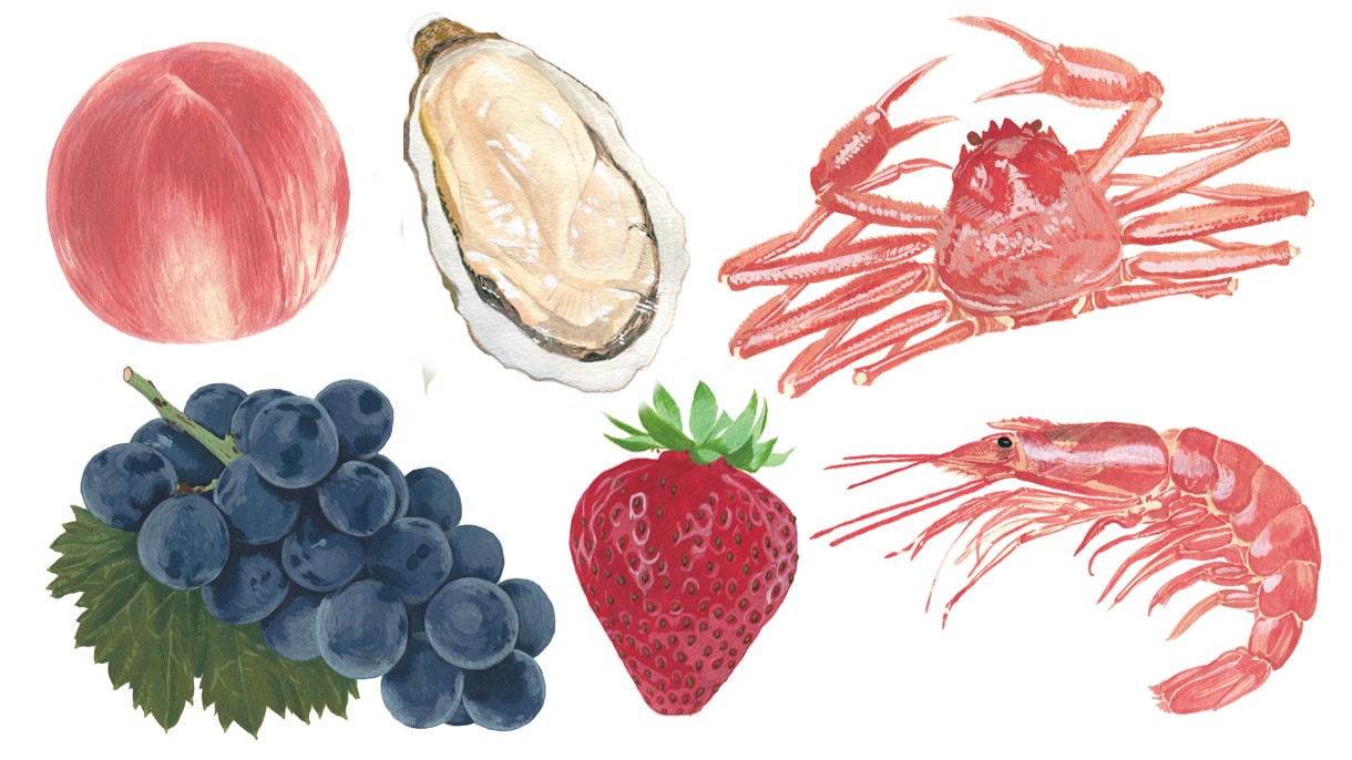 食材や食品の美味しそうなイラストを制作します 食材の魅力、想いや背景を、心をこめてイラストに表現します。 イメージ1