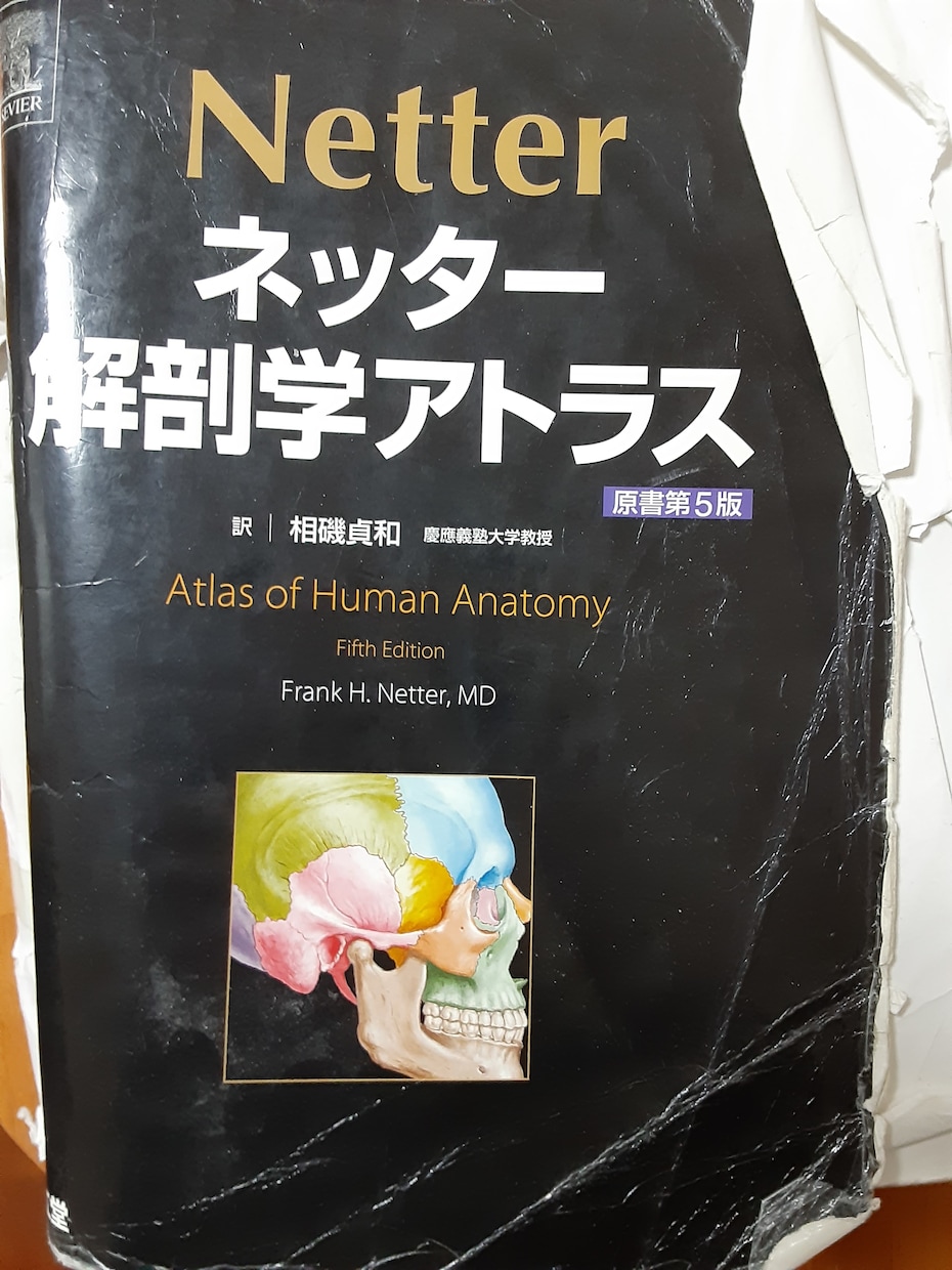 解剖学の勉強教えます 解剖学をしっかりわかりやすく説明します イメージ1