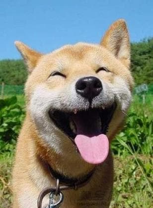 サクッと10分！悩み★相談★にのります 今すぐ話を聞いてほしいけど話す人がいない…という方へ イメージ2