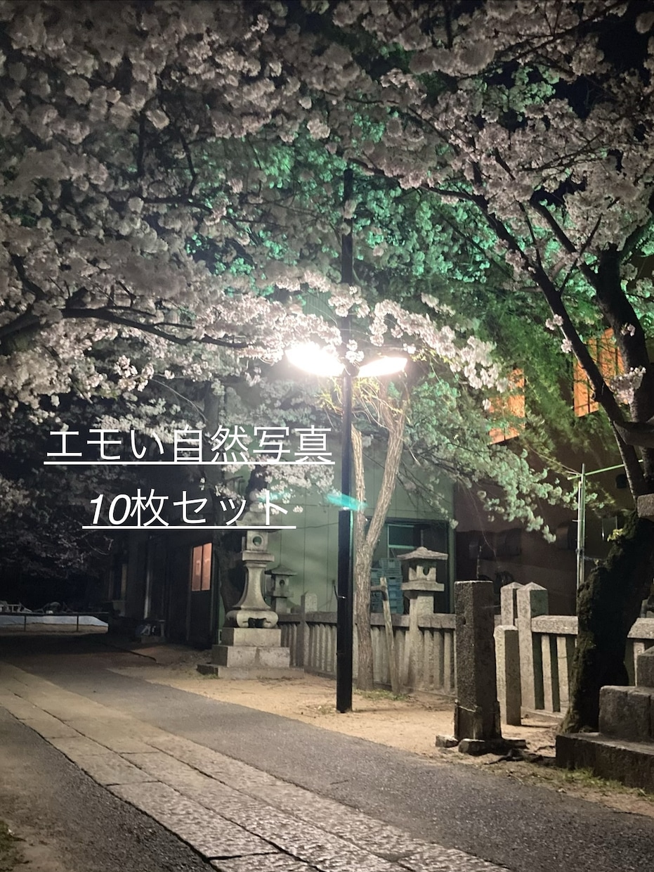 エモい自然風景写真10枚提供します SNSや壁紙に使える癒し写真素材 イメージ1