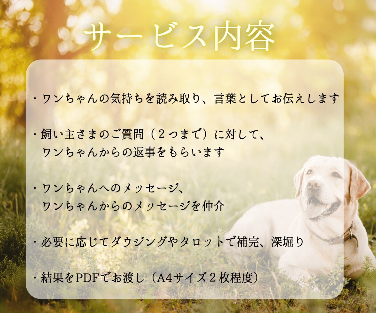 愛犬と飼い主様の心を繋ぎたい。ワンコと話します タロット・ダウジング・アニコミの３本柱で愛犬の気持ちを深堀り イメージ4