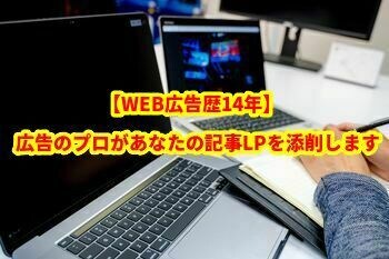 広告のプロがLPを添削して売れない理由を潰します 業界歴14年のコンサル集団がLPを添削します イメージ1