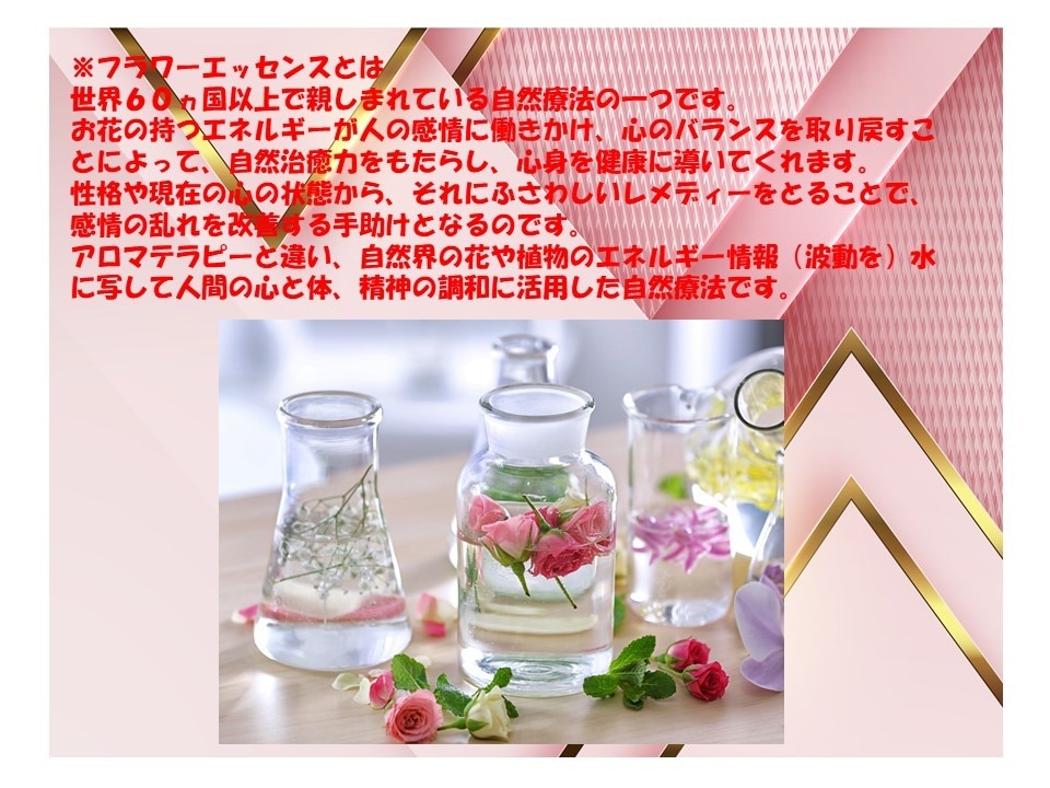 あなたにぴったりのフラワーエッセンスをご提案します ☆本当の自分と向き合い、自分らく生きいと願う方へ☆ イメージ2