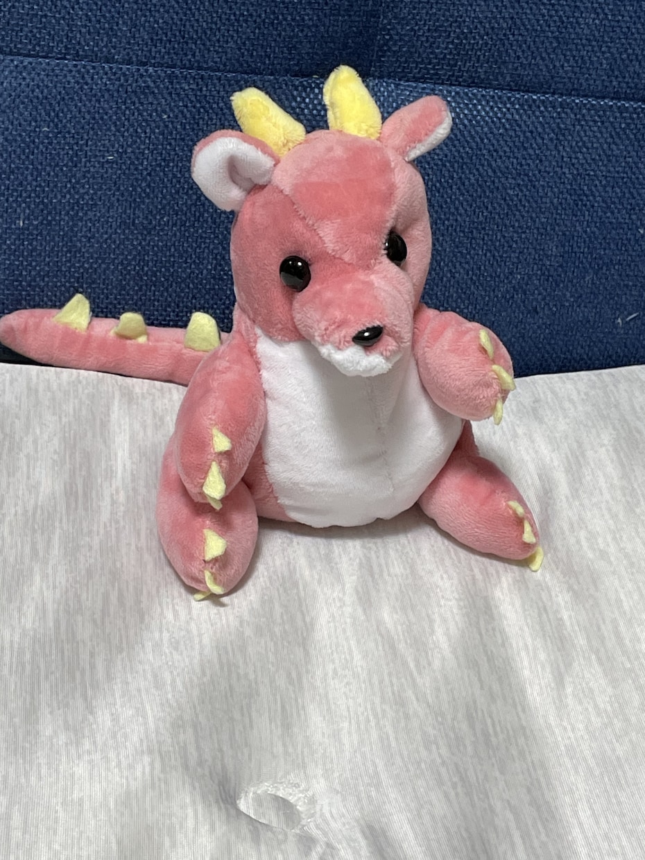 ご依頼後制作はじめます ドラゴンのぬいぐるみです。よろしくおねがい致します イメージ2
