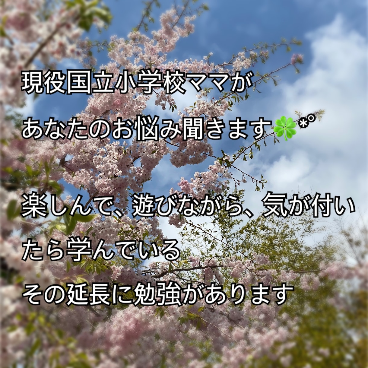 シングル国立小学校ママが幼児教育相談いたします 主に幼児期〜低学年　お金をかけずに知的好奇心を伸ばしましょう イメージ2