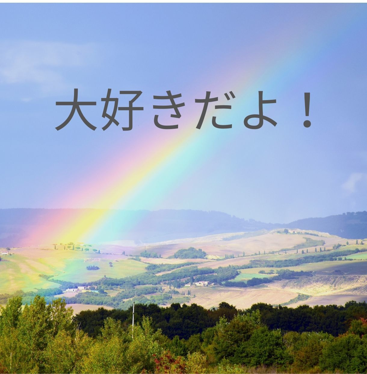 ペットだって家族の一員。寂しい気持ち全部聞きます 寂しい、辛い！毎日癒してくれた存在が居ない辛さ、わかります！ イメージ8