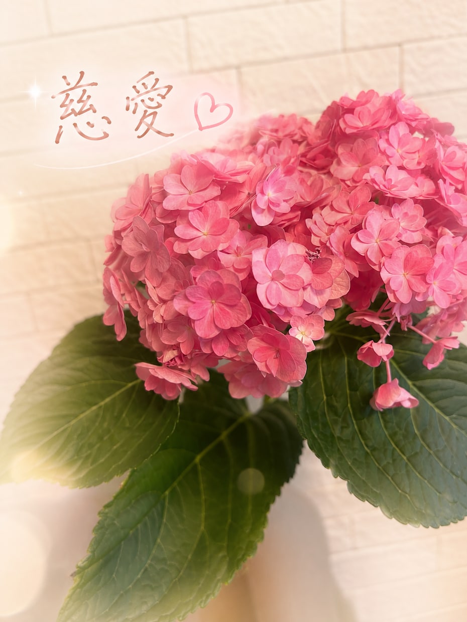 看護師が性の話、不倫の話どんな話でも優しく聞きます 一緒に深呼吸しよう♡あなたがぐっすり眠れますように♡ イメージ6