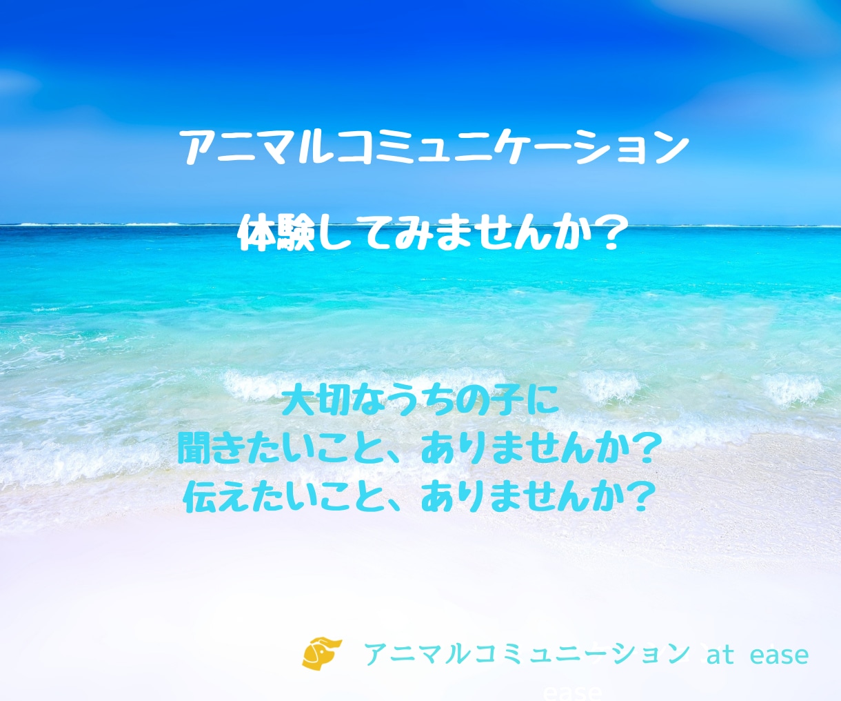動物さんとお話します、あなたの想いを伝えます アニマルコミュニケーションを体験してみませんか？ イメージ1