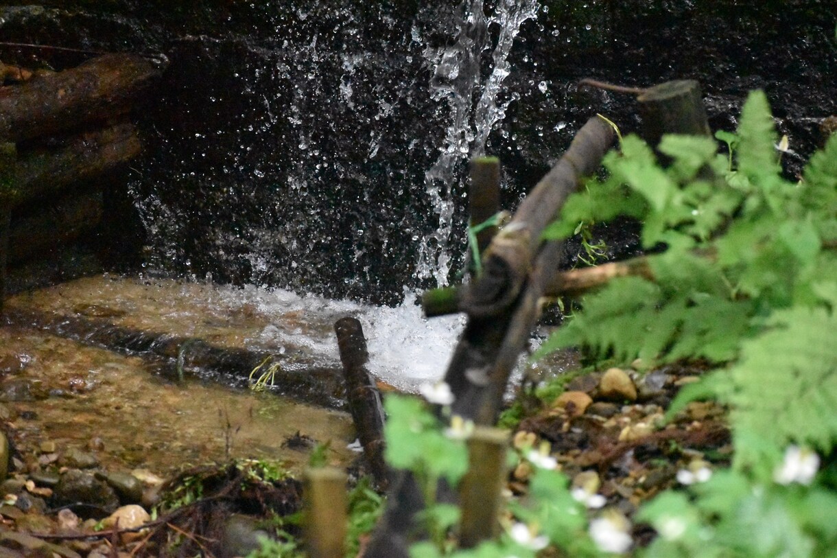 田舎の風景写真提供します アマチュアではありますが趣味で写真を撮ってます イメージ2