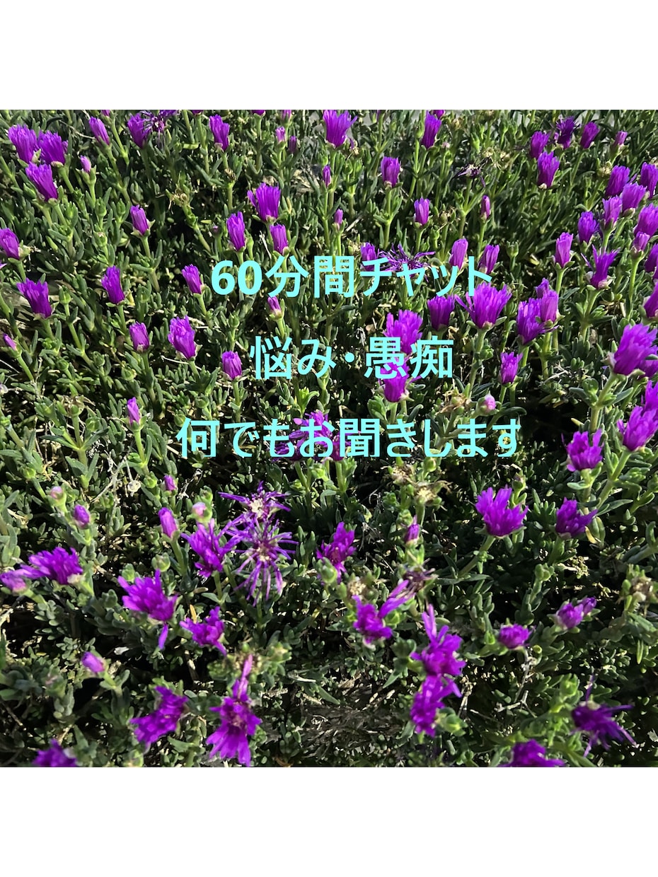 60分チャット：悩み・愚痴なんでもお聞きします 電話よりチャットの方が話しやすい方へ イメージ1