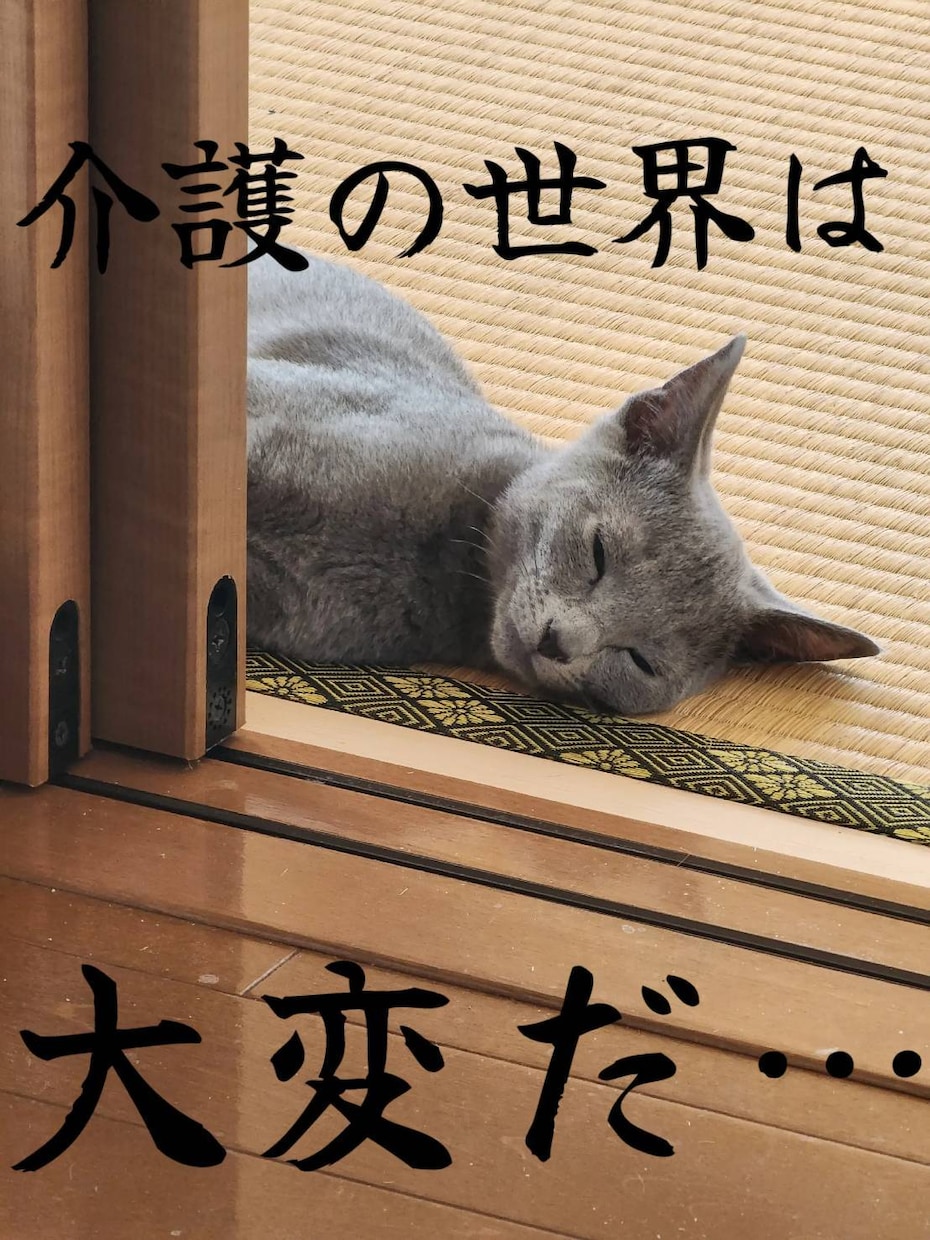 経験者が介護世界の現場での話し全て聞きます 現場介護士さんの悩み・相談・愚痴何でも話して下さい イメージ2