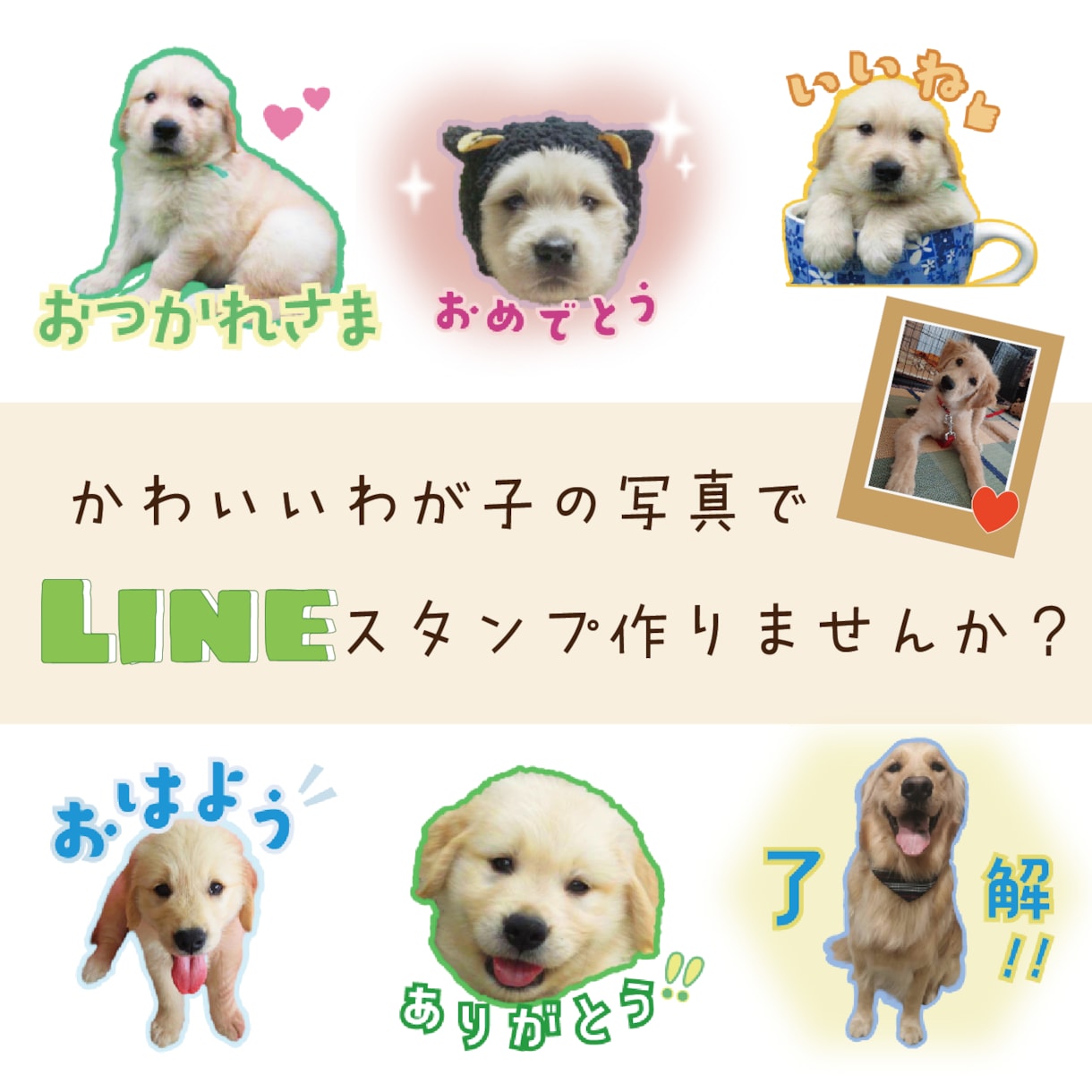 写真をかわいいLINEスタンプにします 大切なお写真をスタンプにしませんか？ イメージ1